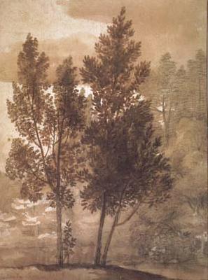 Claude Lorrain Trees (mk17)
